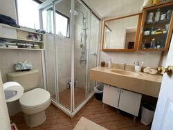 Lucky Park (D10), Semi-Detached #607165101